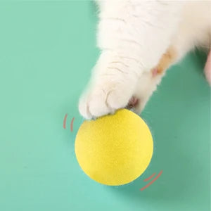 Balle Intelligente d’Apprentissage pour Chat – Jouet Interactif avec Herbe-aux-Chats