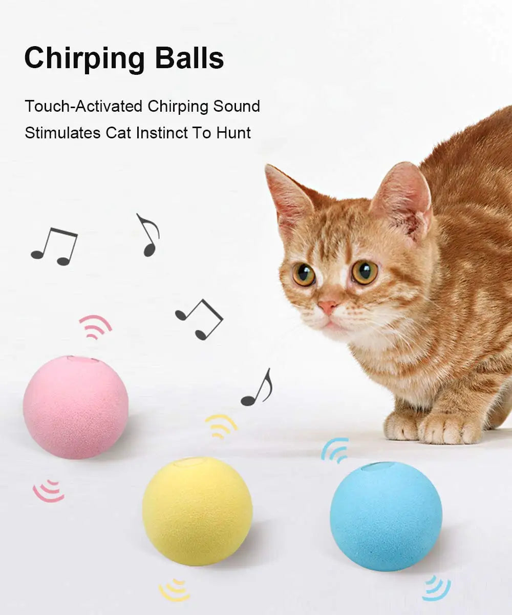 Balle Intelligente d’Apprentissage pour Chat – Jouet Interactif avec Herbe-aux-Chats