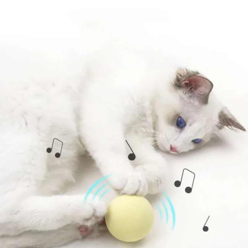 Balle Intelligente d’Apprentissage pour Chat – Jouet Interactif avec Herbe-aux-Chats