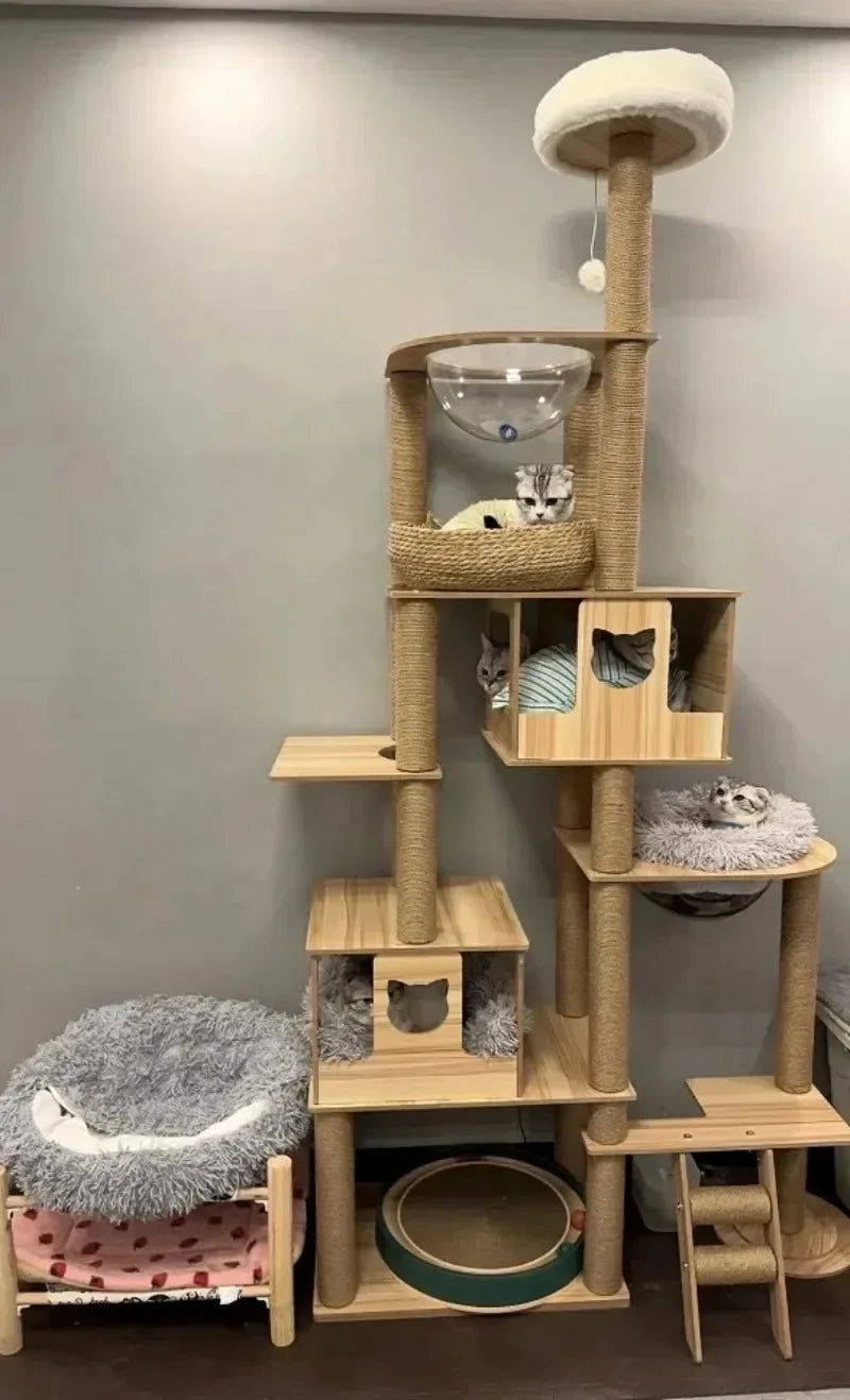 Cadre d’Escalade en Bois pour Chat – Maison Multicouche avec Poteaux à Griffer et Jouets