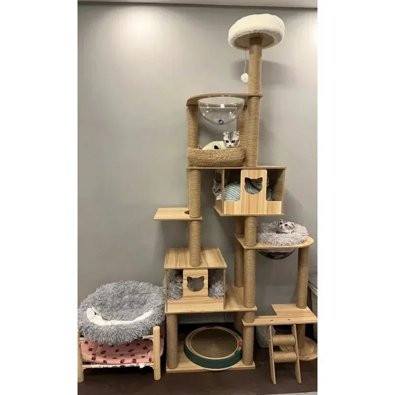 Cadre d’Escalade en Bois pour Chat – Maison Multicouche avec Poteaux à Griffer et Jouets