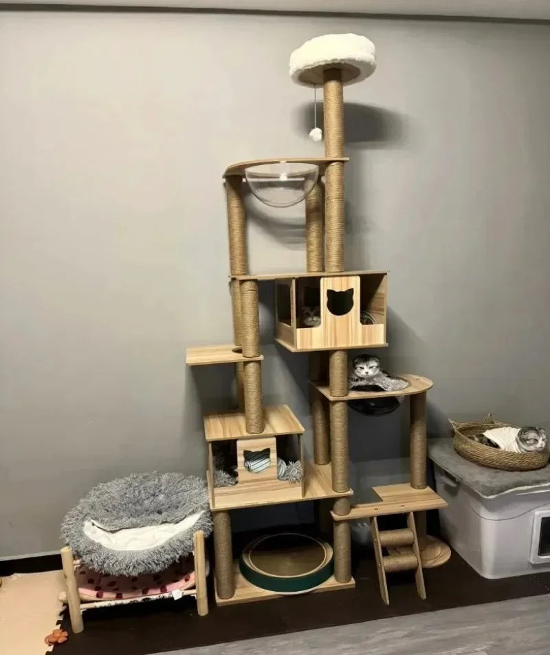 Cadre d’Escalade en Bois pour Chat – Maison Multicouche avec Poteaux à Griffer et Jouets