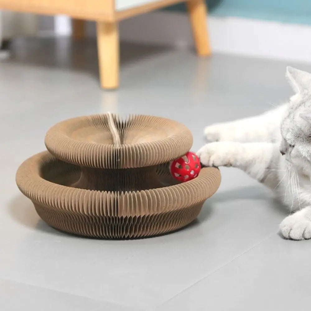 Jouet Transformable pour Chat – Orgue Magique en Accordéon, Sans Miettes