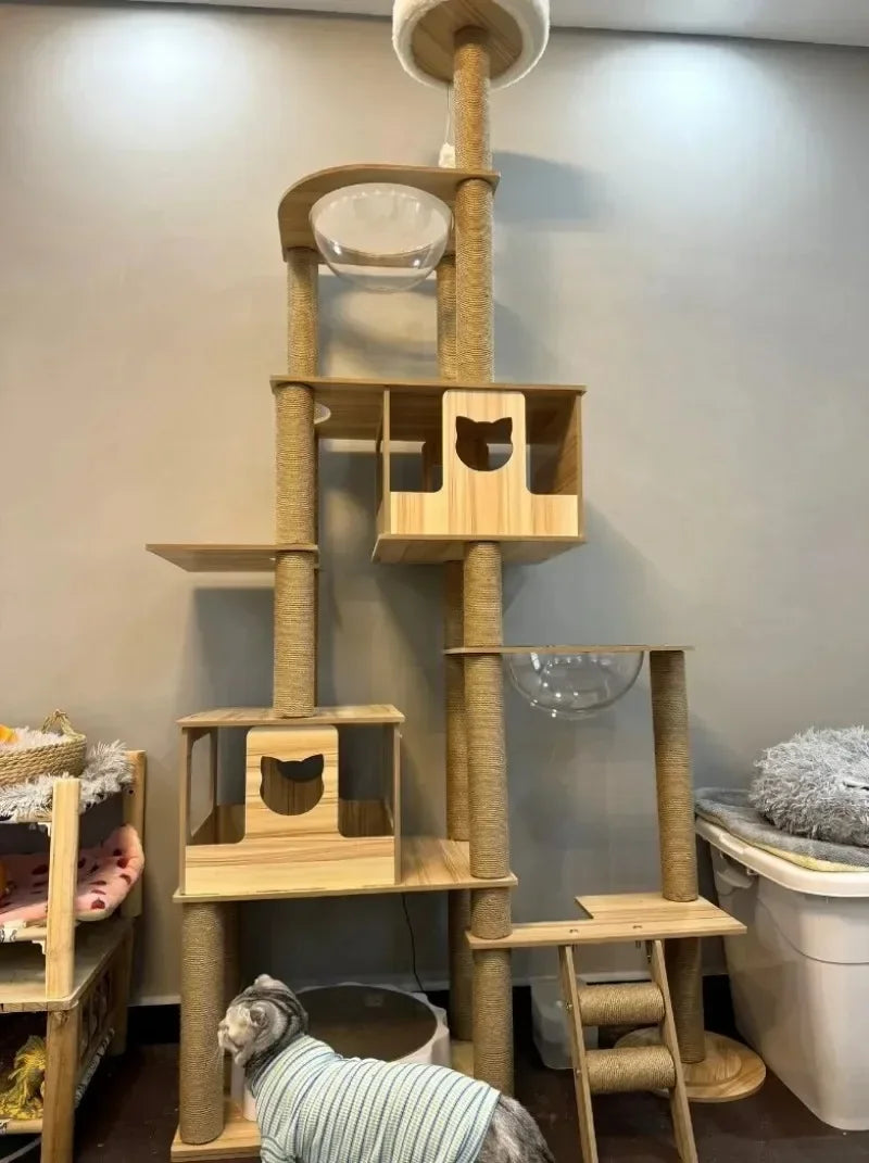 Cadre d’Escalade en Bois pour Chat – Maison Multicouche avec Poteaux à Griffer et Jouets