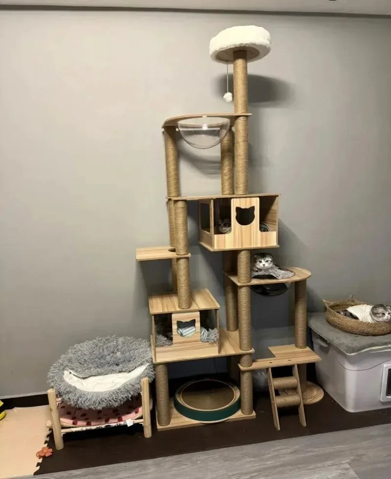 Cadre d’Escalade en Bois pour Chat – Maison Multicouche avec Poteaux à Griffer et Jouets