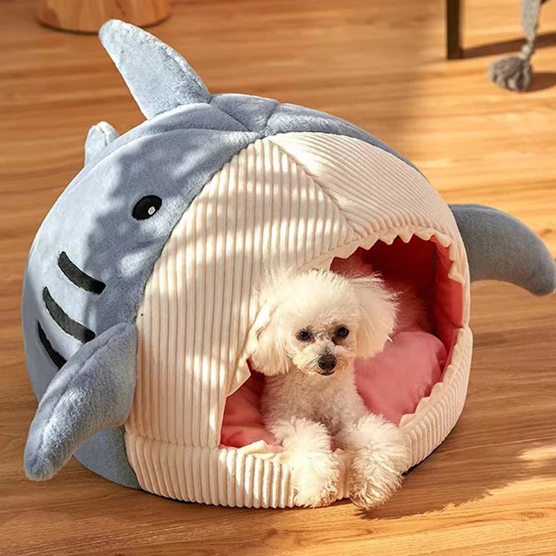 Lit Chaud en Forme de Requin pour Chat – Coussin Douillet et Tente Ludique