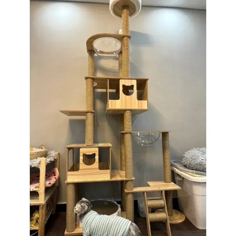 Cadre d’Escalade en Bois pour Chat – Maison Multicouche avec Poteaux à Griffer et Jouets